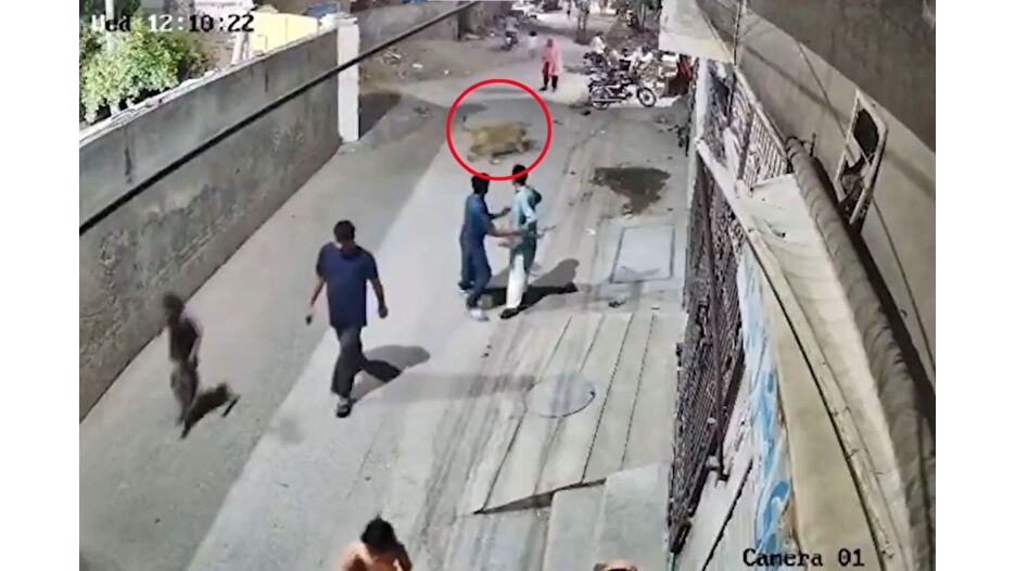 Sokakta aslan dehşeti: 3 yaralı var