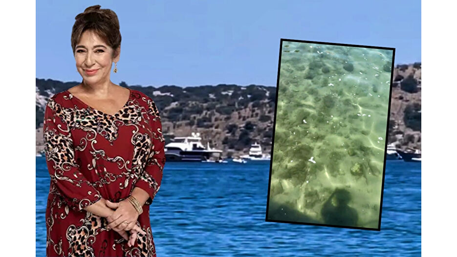 Melek Baykal'dan Bodrum'da deniz kirliliğine isyan