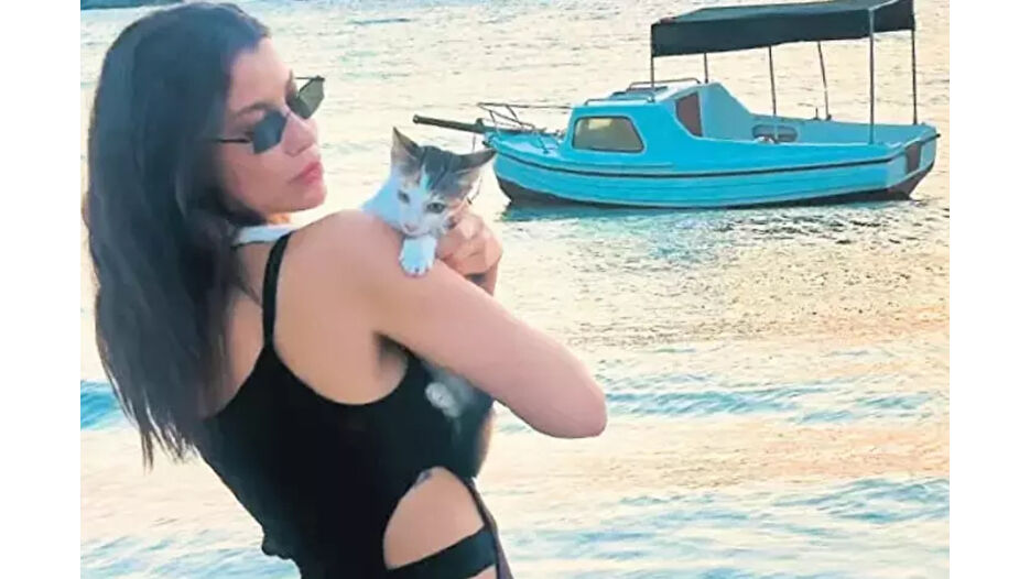 Kedi yüzünden CİMER’e şikayet edildi