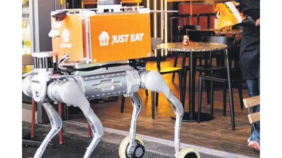 Robot köpekler teslimata başladı