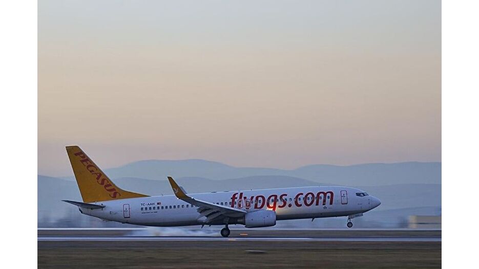 Motoruna leylek giren Pegasus uçağı acil iniş yaptı