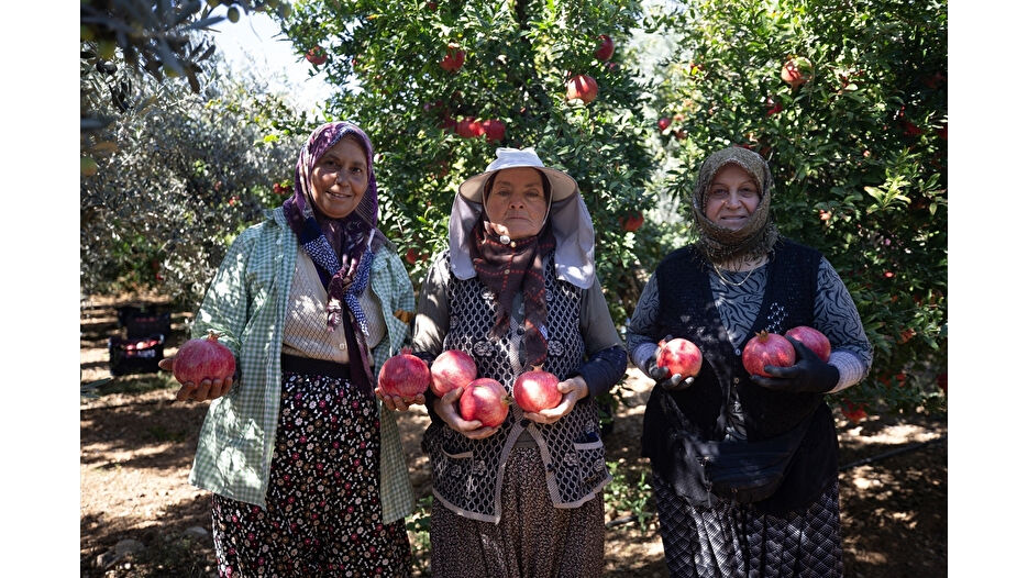 Antalya nar üretiminde ve ihracatında ilk sırada