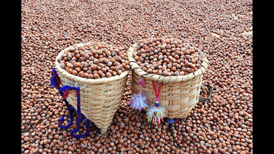 Nutella Türk fındığını bıraktı, Şili ve ABD'ye yöneldi