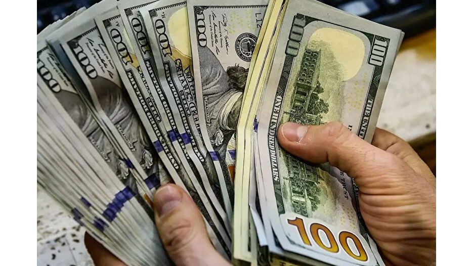 Reel efektif döviz kuru endeksi ekimde 71,87 oldu