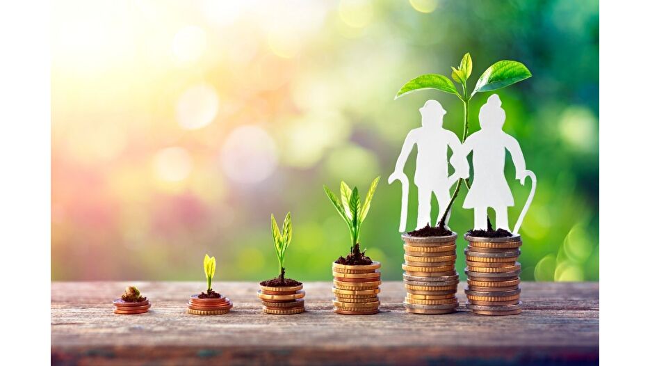 BES'te gönüllü katılımcı sayısı 10 milyonu aştı