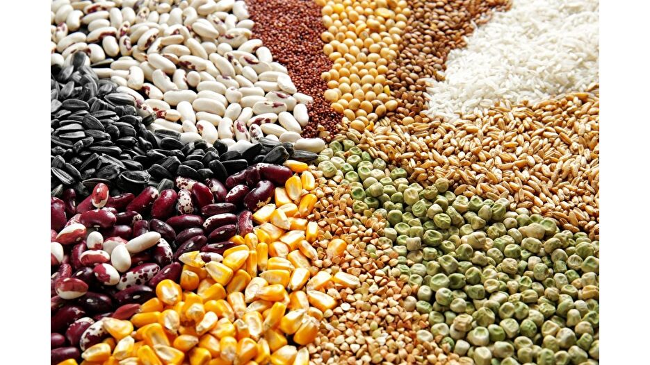 Küresel gıda fiyatları yüzde 1,6 geriledi