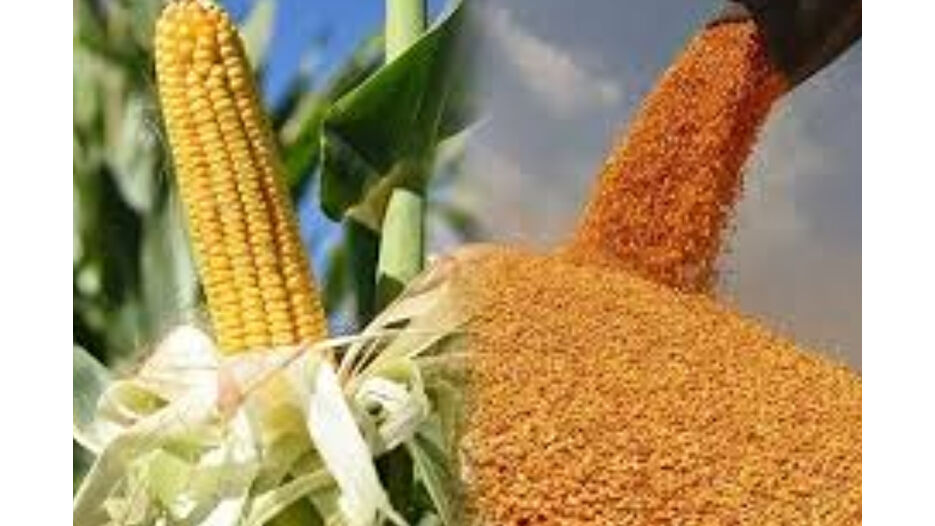 Arpa ve mısır ithalatında yeni tarifeler belli oldu