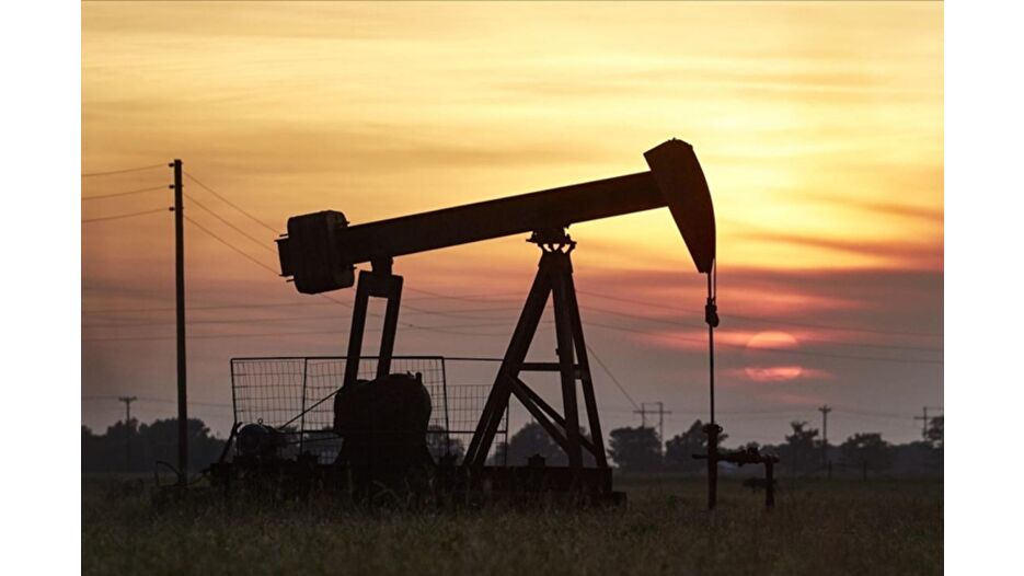 Trump, yaban hayatını koruyan sondaj sınırını kaldırdı