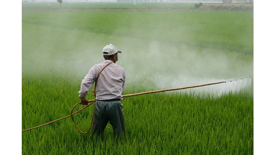 Gıdada pestisit oranlarında limitler belirlendi
