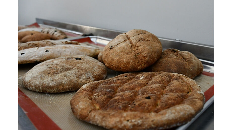 3 bin yıllık ballı arpa ekmeği Türkiye'de yeniden doğdu