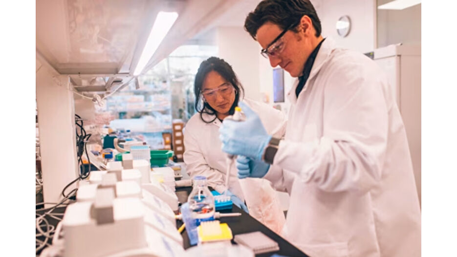 3 milyar dolarlık gençlik yatırımı