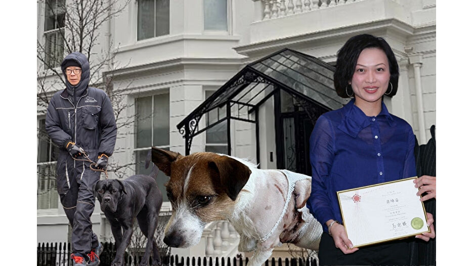 Milyarder köpeği kraliyet dinlemedi