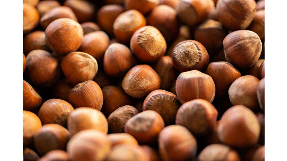 Fındıktan 547 milyon doları aşkın gelir