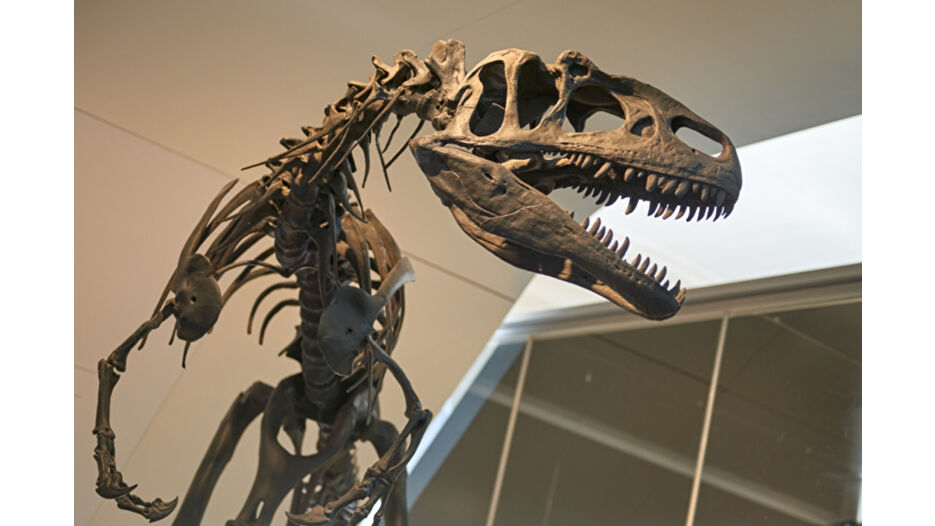 Google'ın eski CEO'su dinozor fosilini müzeye bağışladı