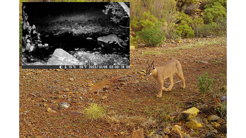 Kaçak avcılara 3 yılda 2 milyon TL ceza