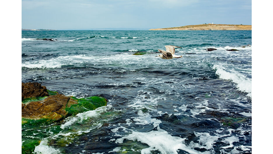 Karadeniz'de deniz seviyesi 12 santim yükseldi