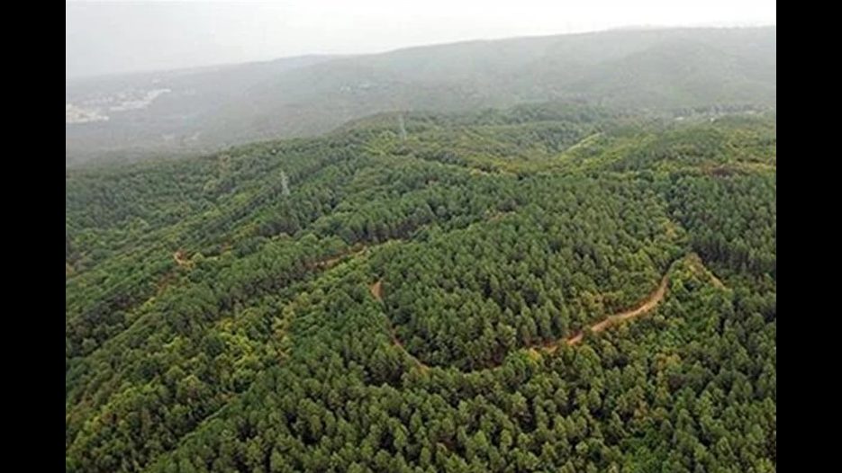 11 ilde bazı alanlar orman sınırından çıkarıldı