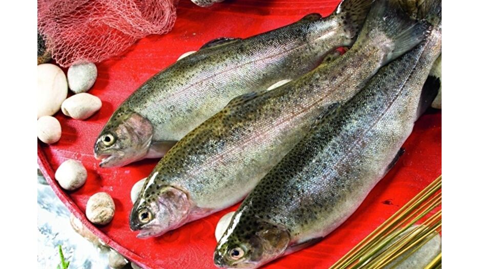 Türk somonu ihracatında hedef milyar dolar