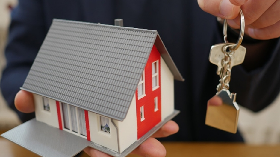 Gayrimenkul ve taşıt ilanları mercek altında