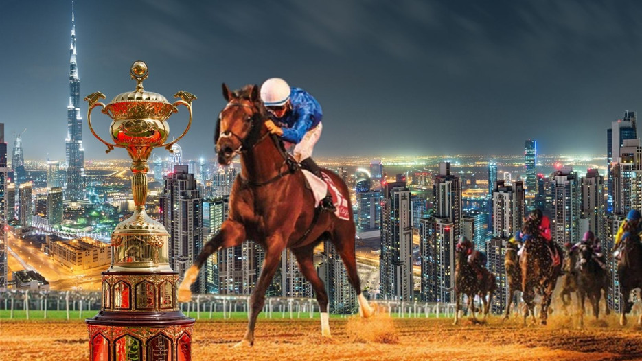 Dubai'nin imajı atlara emanet