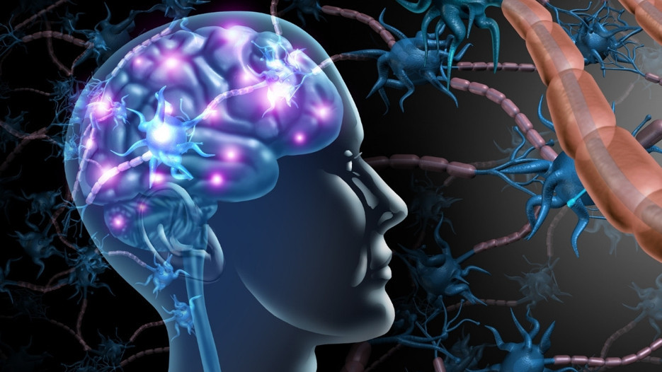 Migrenli beyin görsel uyaranlara alışamıyor