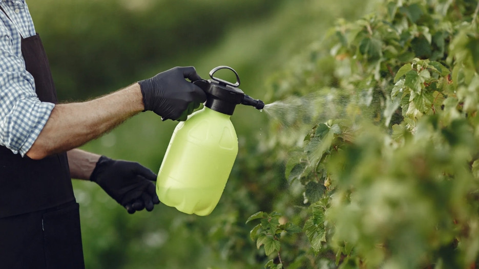 TÜBA pestisitlerin etkilerini sempozyumda ele alacak