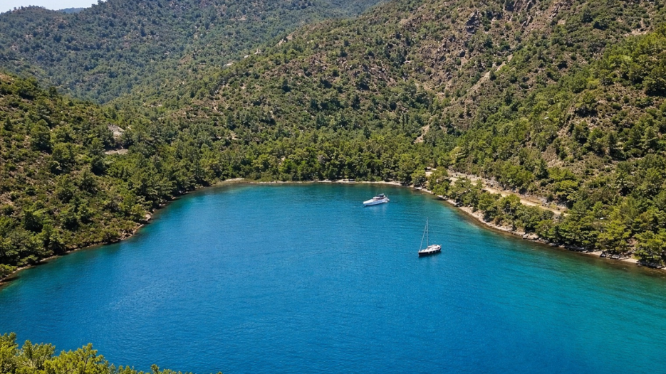 'Ayten Koyu'na dokunmayın' eylemi