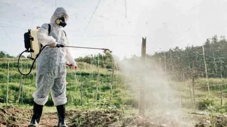 Tabaktaki gizli tehlike ortaya çıktı