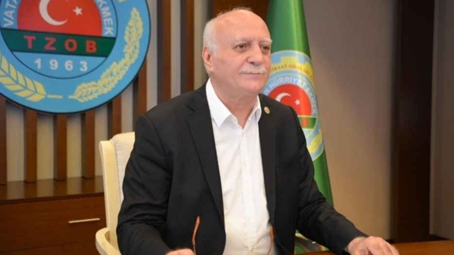 Karnabahar, biber, domates ve patlıcanda fiyat farkı