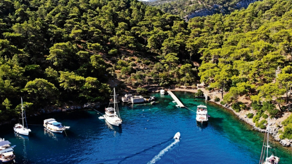 Milyarderler koyuna koruma kalkanı