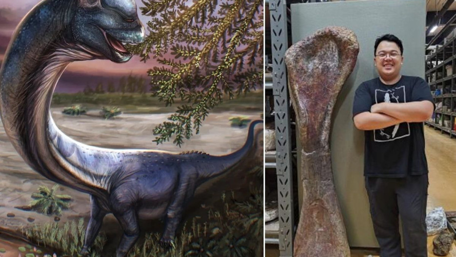 Tayland'da yeni dinozor türüne ait kalıntılar bulundu