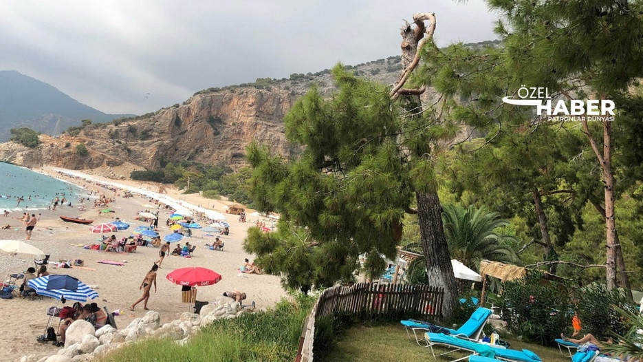 Gözde tabiat parkı 5+5 yıllığına kiralık