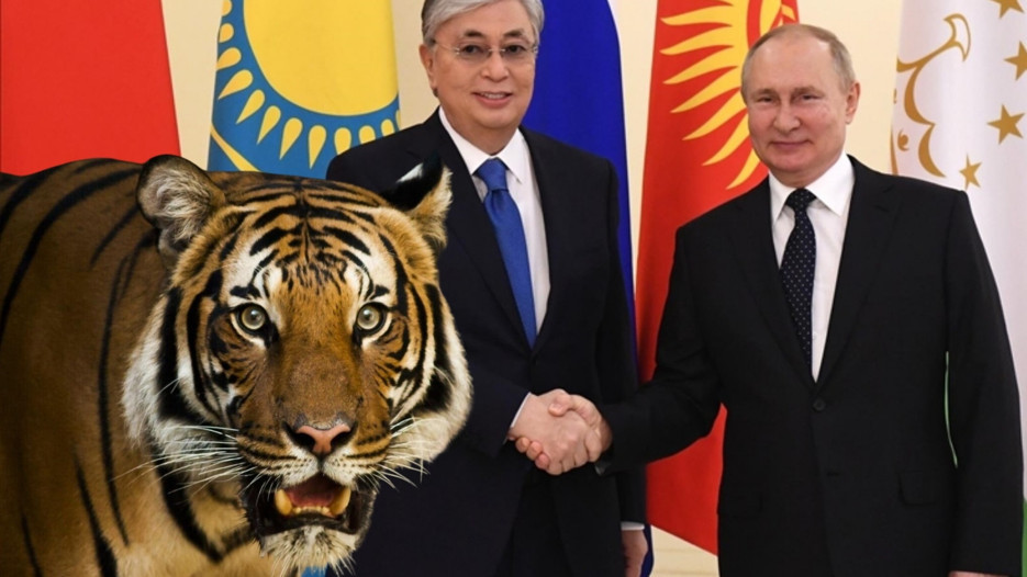Amur Kaplanı diplomasisi