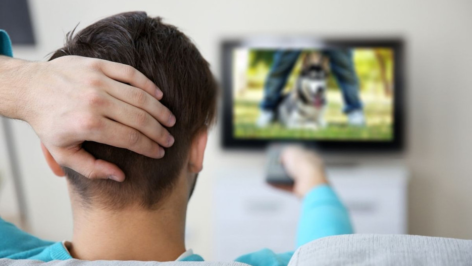TÜİK: Evliler bekarlardan daha çok televizyon izliyor