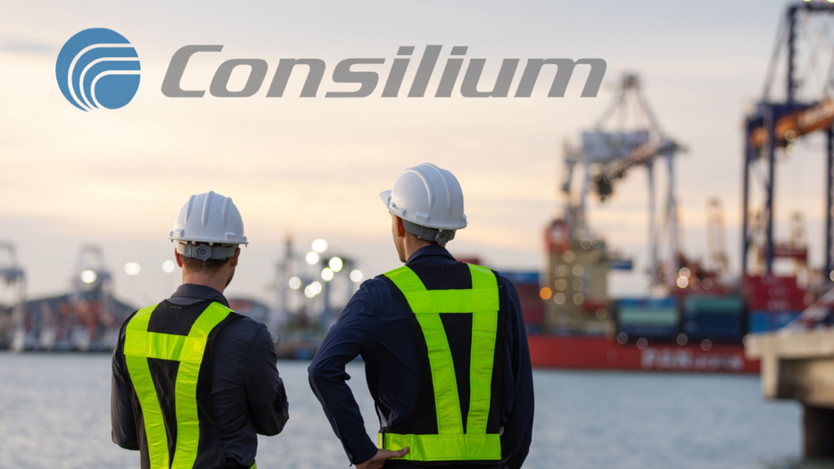 İsveçli Consilium, Türkiye'yi sevdi