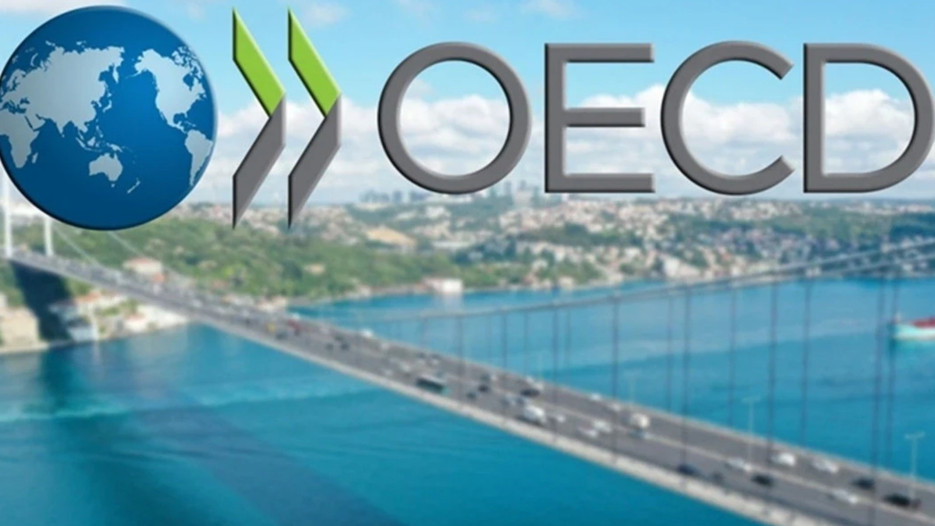 Türkiye yüzde 24 ile OECD ortalamasının altında
