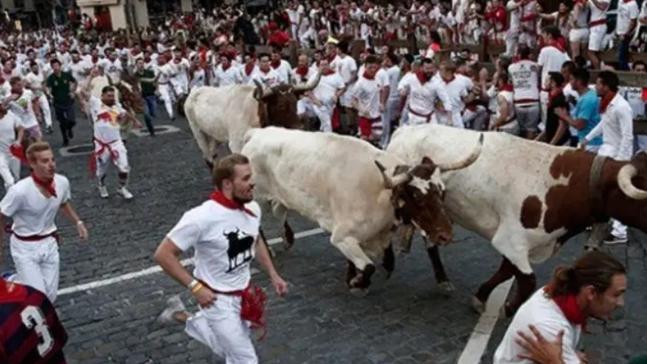 Boğalar ve insanlar koşuda San Fermin Festivali başladı
