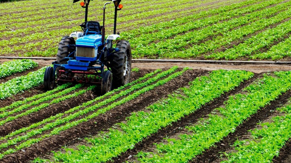Tarım ÜFE haziranda aylık bazda yüzde 9,02 azaldı