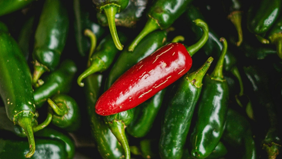 Jalapeno biber kaynaklı salmonella salgını ABD'yi sarstı