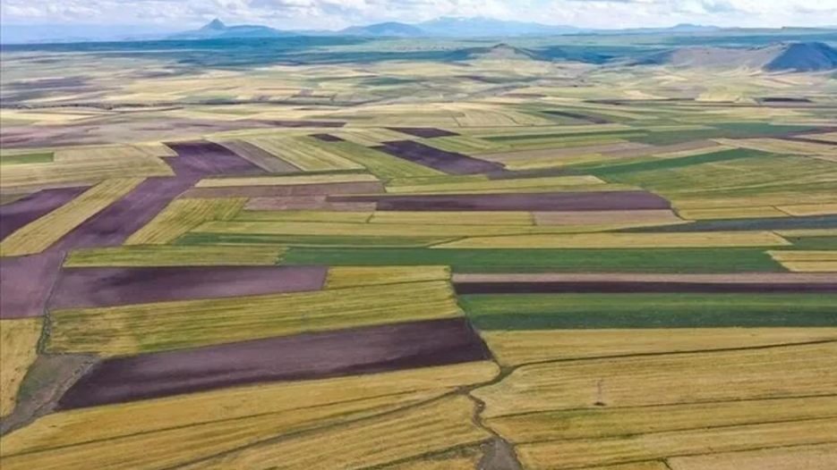 Arsaya talep azaldı