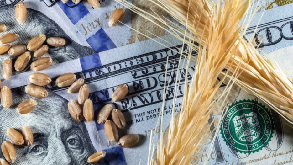 Dolar zayıfladı, emtia fiyatları yükseldi