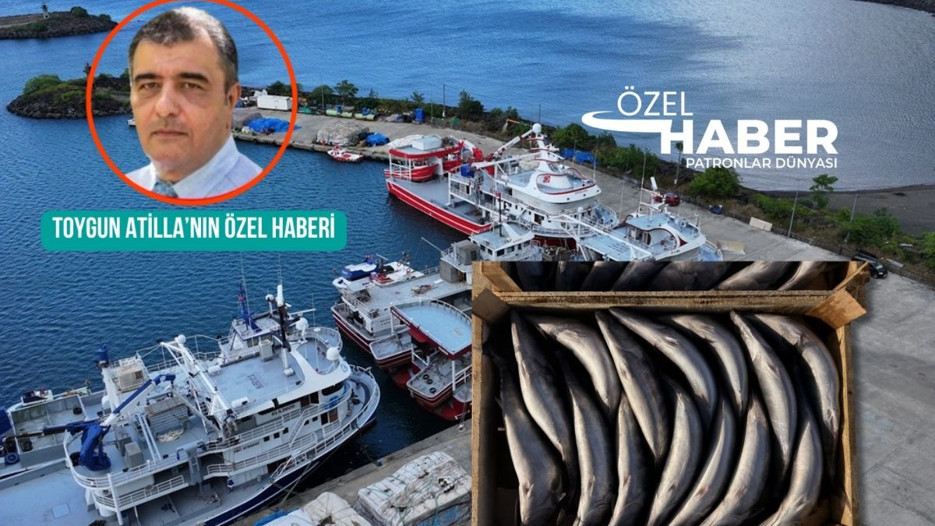 Palamut ağlarda milyar dolar kasada