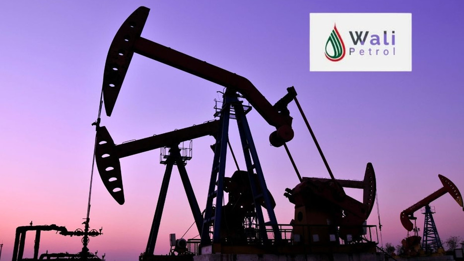 Wali Petrol'e Erzincan ruhsatı