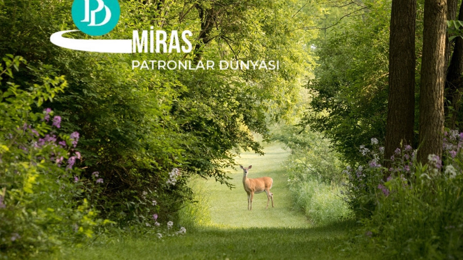 Patronlara doğa karnesi
