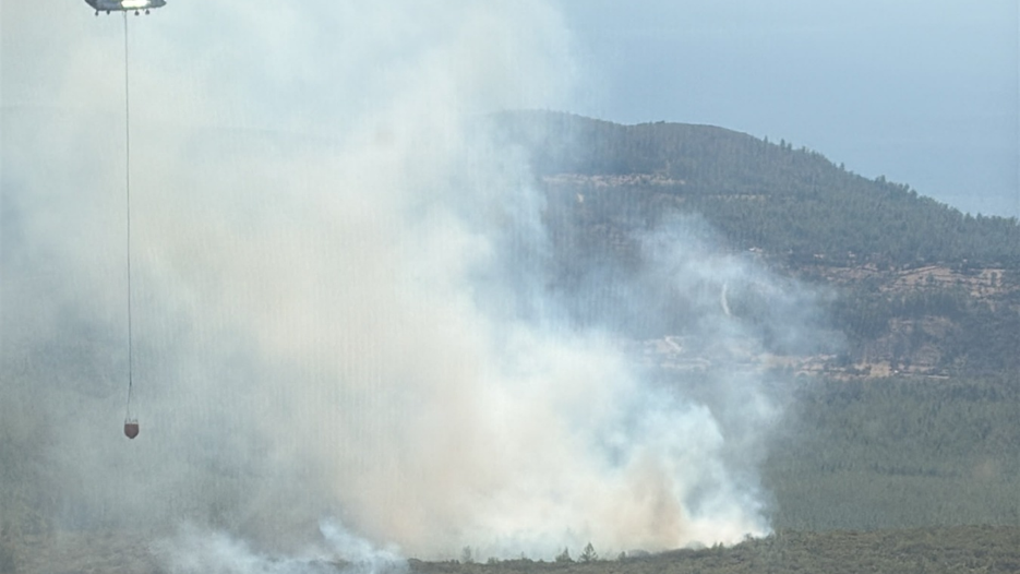 Bodrum’da makilik alanda başlayan yangın ormana sıçradı