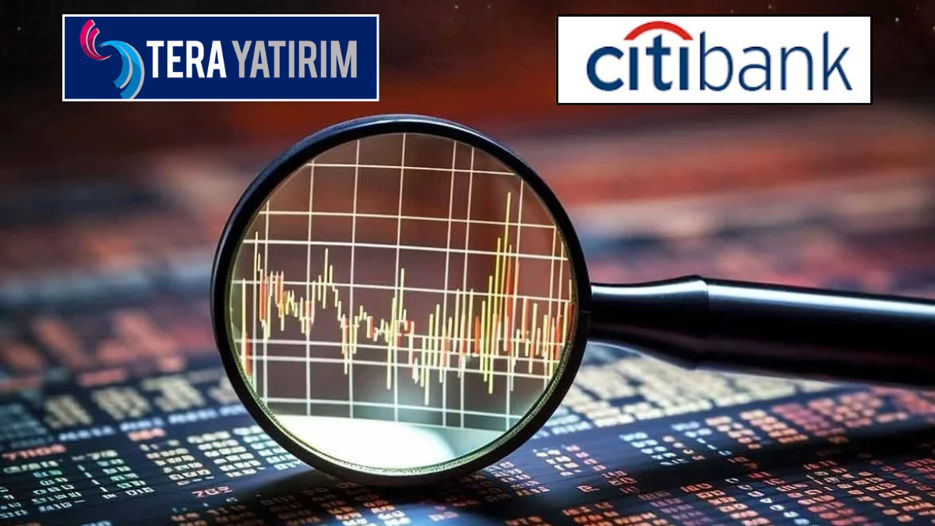 Tera Yatırım'da Citibank izi