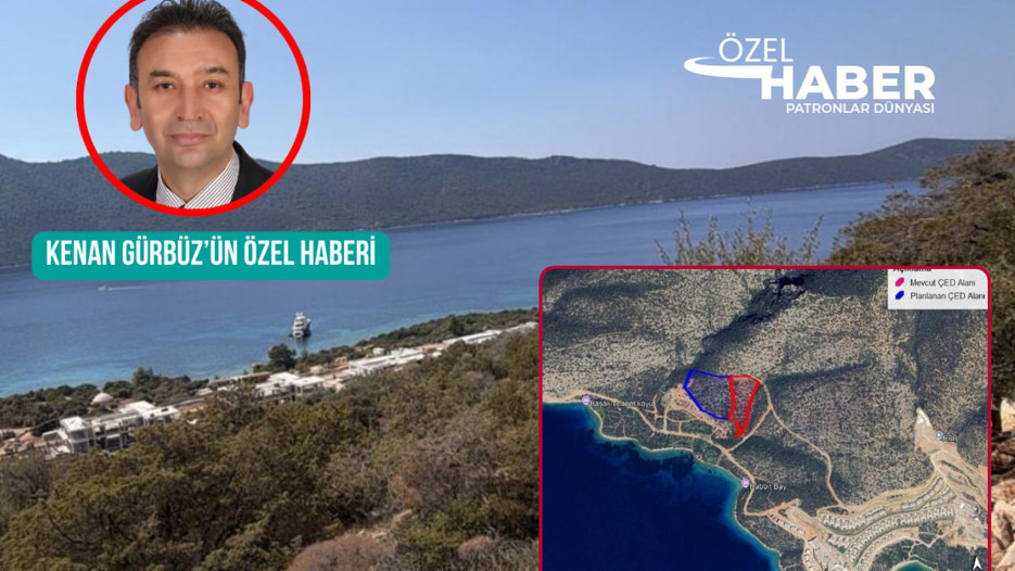 Proje beş yıldızlı büyüme iki kat 