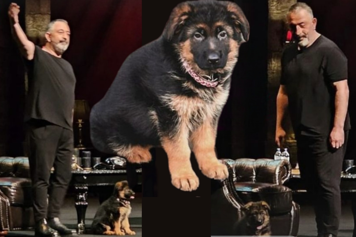 Cem Yılmaz sahneye köpeğiyle çıktı