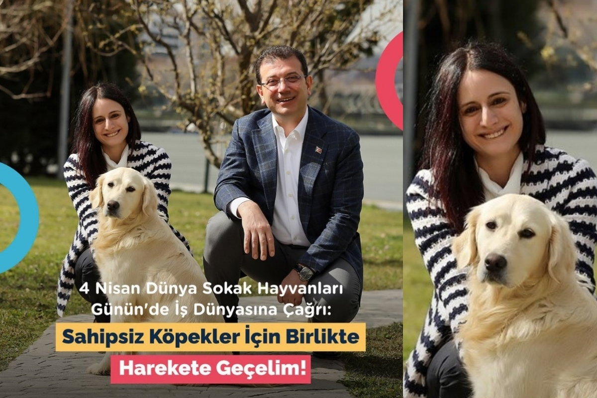 İpek Kıraç iş dünyasını sahipsiz köpekler için harekete geçmeye davet etti