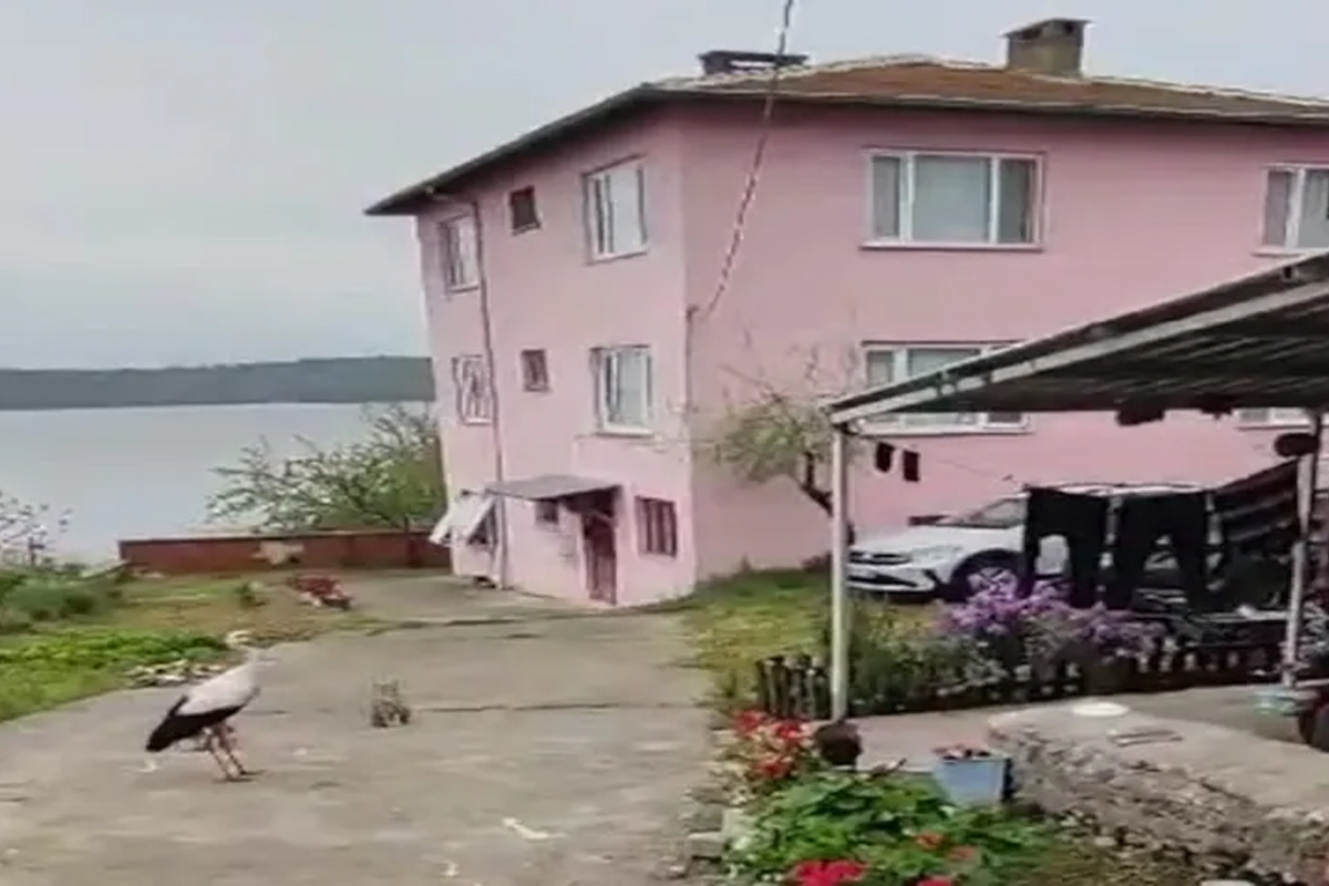 Adem Amca'dan Yaren leyleğe bayram hediyesi